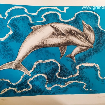 Serigrafia delfino - Aldo Turchiaro